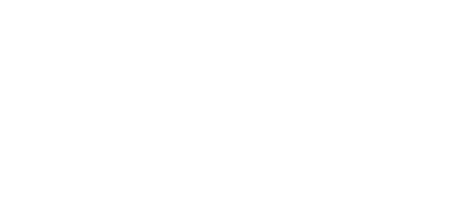 Software Studio Logo